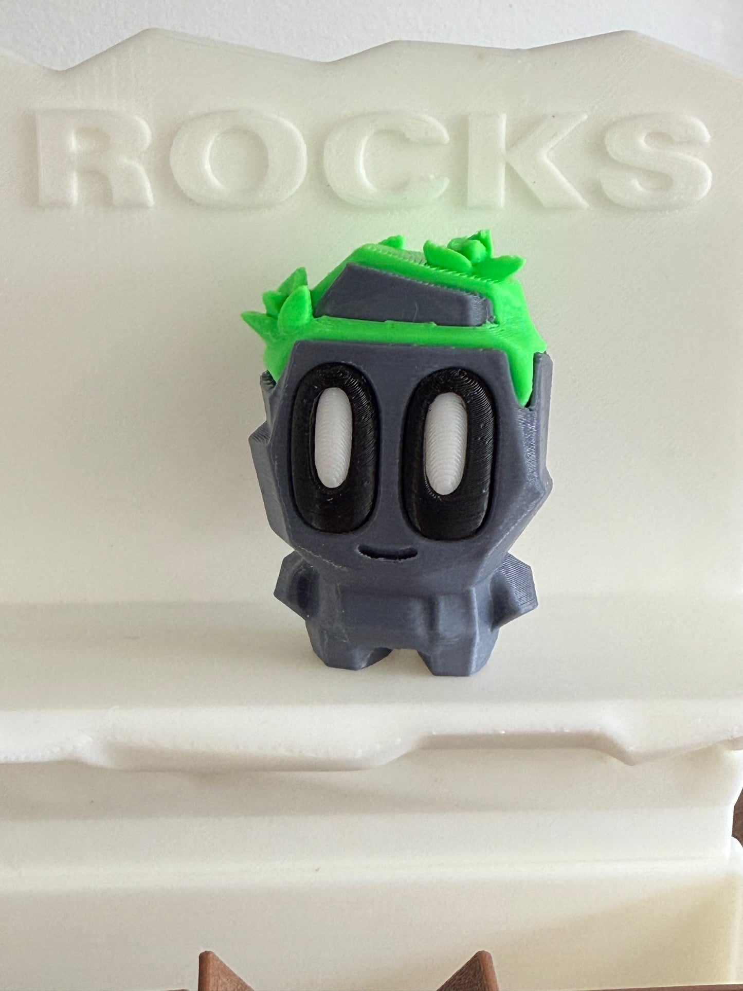 Pet Rocks