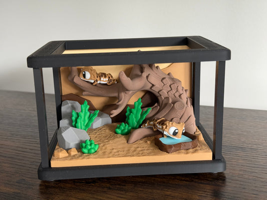 Bearded Dragon Terrarium